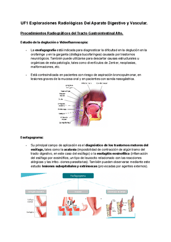 Apuntes-VT2-R.Especial.pdf