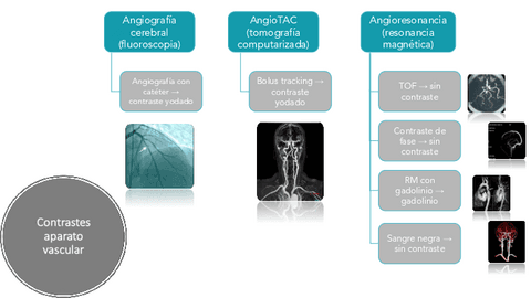 Contrastes-Aparato-vascular.pdf