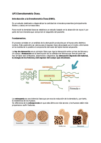 Apuntes-VT11-R.Especial.pdf