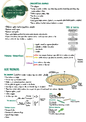 Tema-4-botanica-.pdf
