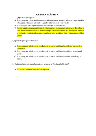 Examen-Plastica-1.pdf