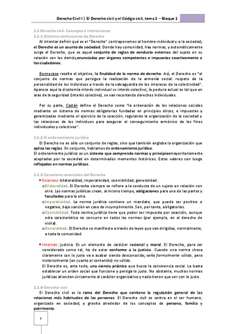 TEMA-1-CIVIL.pdf