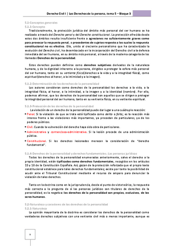 TEMA-5-CIVIL.pdf