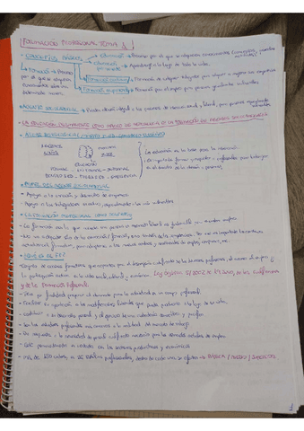 Tema-1-Formacion.pdf