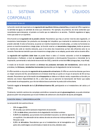 FISIO-TEMA-11.-Sistema-excretor-y-liquidos-corporales.pdf