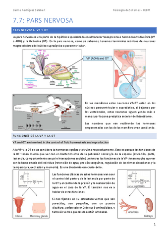 TEMA-7.7.-Pars-nervosa.pdf