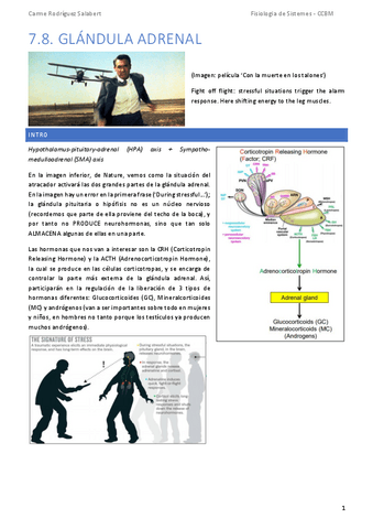 TEMA-7.8.-Glandula-adrenal.pdf