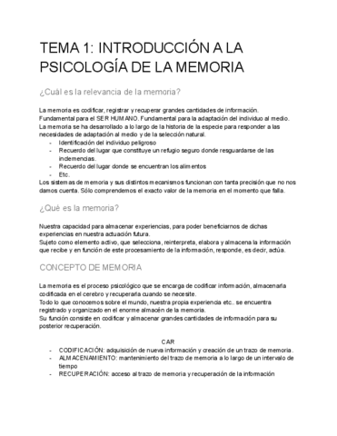 MEM-TEMA-1-APUNTES.pdf