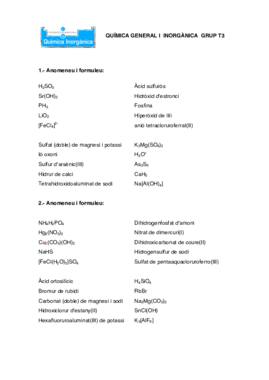 Examen Formulació Corregit 1.pdf