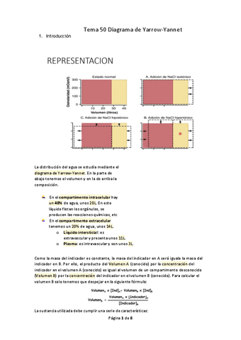 Representacion-del-diagrama.pdf
