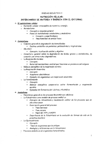 metabolismo.pdf