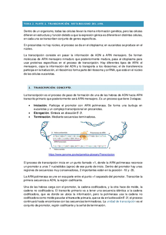 Bioquimica-II-tema-2-transc.-y-trad..pdf