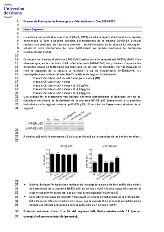 Examen-Practicas-BIM.pdf