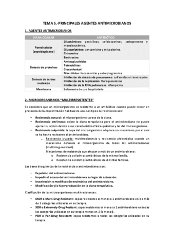 Tema 5.-Principales antimicrobianos.pdf