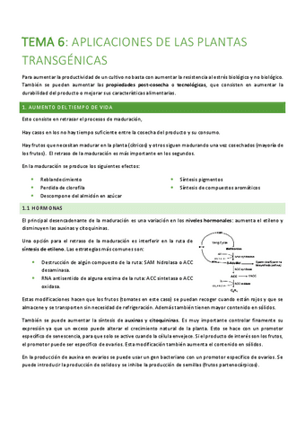 TEMA-6-plantas.pdf