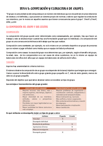 Tema-5-psicologia-de-los-grupos.pdf