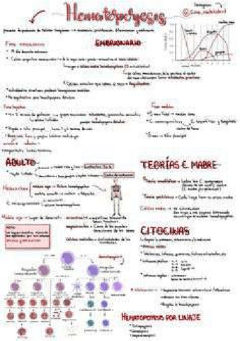 c00e6af86daab867f7e40f72d0338e9b.pdf