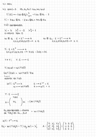 EJERCICIOS-RESUELTOS-TEMA-7-ALGEBRA-L-II.pdf