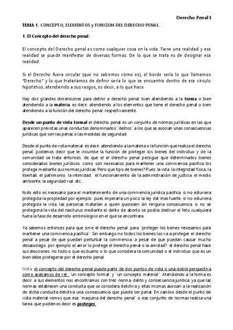 TEMA-1.-AMPLIADO.pdf