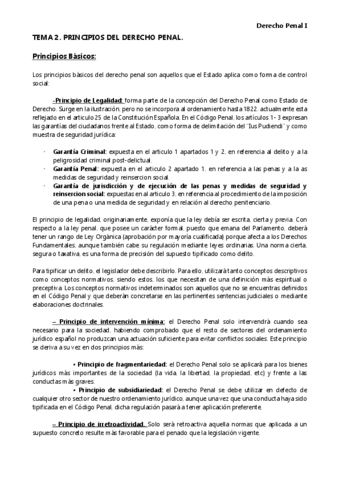 TEMA-2.-AMPLIADO.pdf
