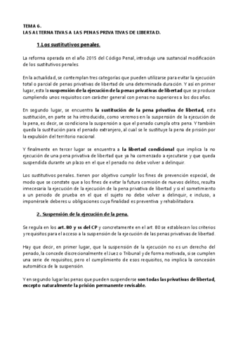 TEMA-6..pdf