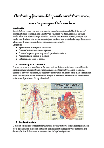 Aparato-circulatorio.pdf