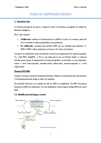 TEMA-10.-Expresion-genica..pdf