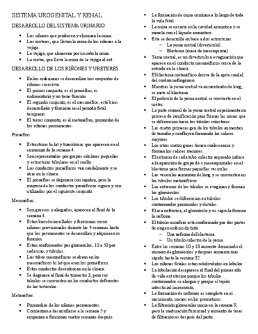 sistema-urogenital-y-renal.pdf