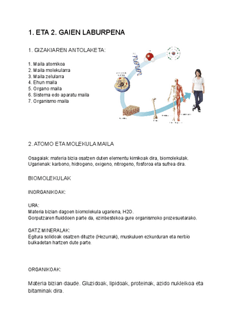 BIO LABURPENA 1-2 GAIAK DBH 3.pdf