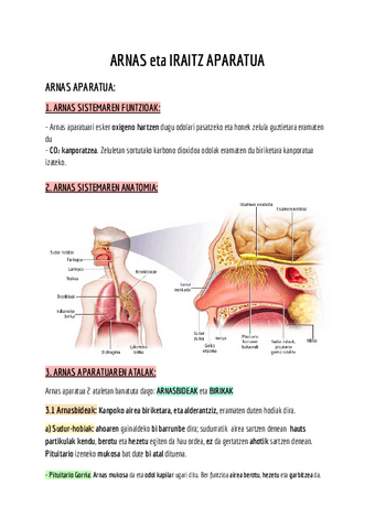 BIO LABURPENA ARNAS- ETA IRAITZ-APARATUA DBH 3.pdf