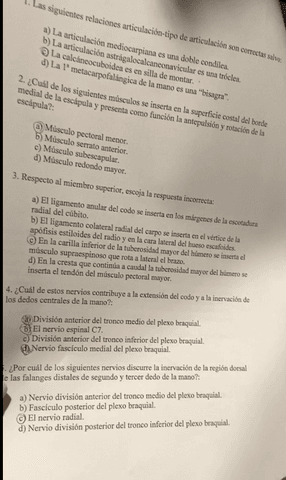 EXAMEN-ESTEO ORDINARIA-anatomia (respuestas al final).pdf