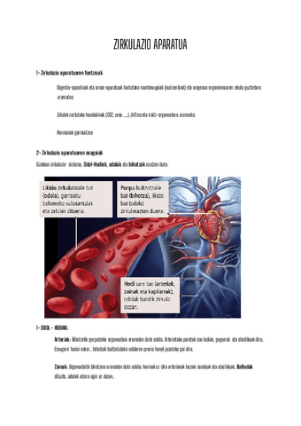BIO LABURPENA ZIRKULAZIO-APARATUA eta IRAITZ-APARATUA DBH 3.pdf