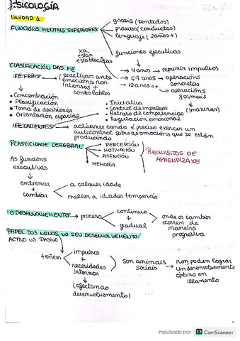 psicologia-esquemas.pdf