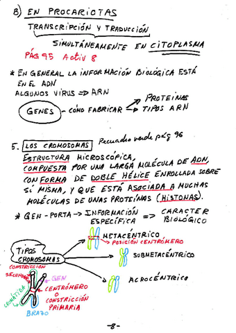 Esquema-Resumen-Celula-Parte-2.pdf