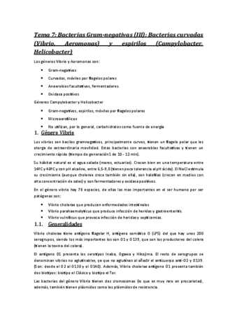 Tema 7 micro.pdf