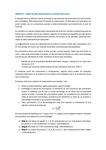 OBJECTIU-6-cariotip.pdf