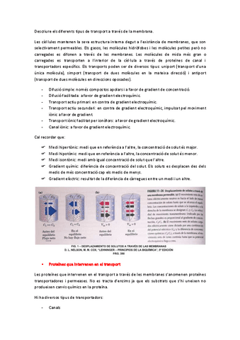 OBJECTIU-7-transport-a-traves-de-m.p.pdf