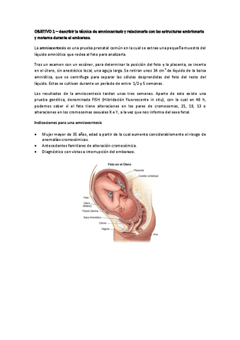 OBJETIVO-1.pdf
