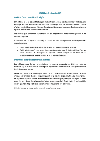 PROBLEMA-2-objectius-6-i-7-NO.pdf