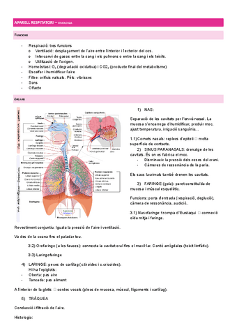 APARELL-RESPITATORI-2.pdf