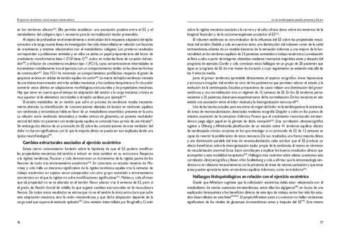 21JLibro-Ponencias-41.pdf