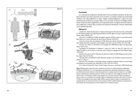 21JLibro-Ponencias-106.pdf