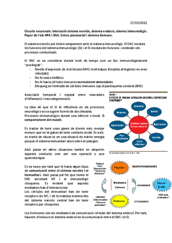 Tema-16-Circuits-neuronals-Interaccio-SN-SE-SI.pdf