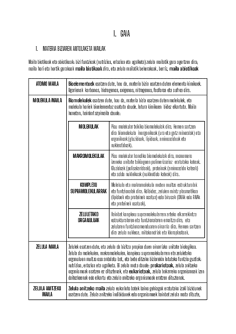 BIO-LABURPENA-MATERIA-BIZIAREN-ANTOLAKETA-MAILAK-DBH-4.pdf