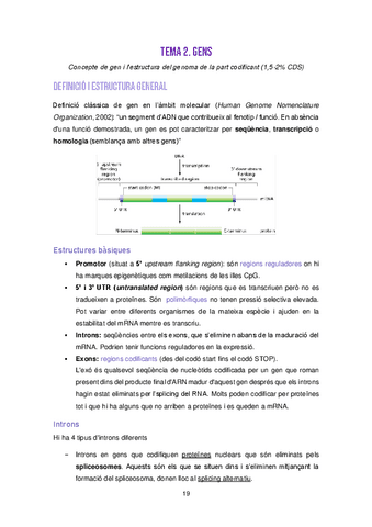 Tema-2-Gens.pdf