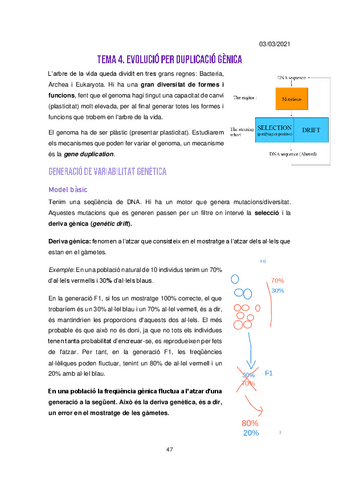 Tema-4-Evolucio-Duplicacio-genica.pdf