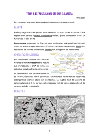 Tema-1-Estructura-Genoma-Eucariota.pdf