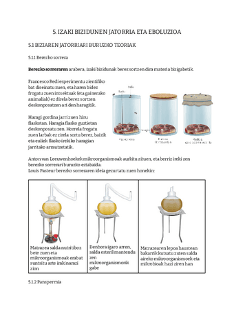 BIO-LABURPENA-IZAKI-BIZIDUNEN-JATORRIA-ETA-EBOLUZIOA-DBH-4.pdf