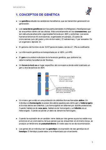 Genetica-BIR.pdf