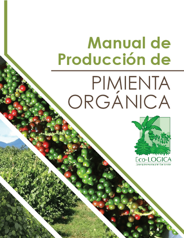 Manual-de-produccion-de-pimienta-organica-Eco-logica.pdf